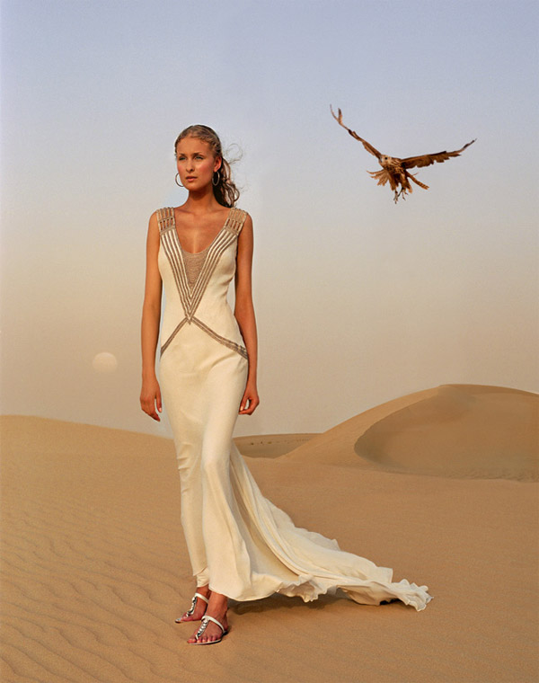 Desert rose - Silk georgette dress with antique beading by Amanda Wakely