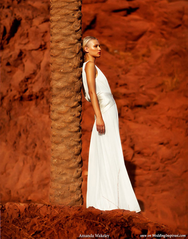 Moroccon Princess -- jersey dress with V neckline and silk Mikado hip detail by Amanda Wakeley