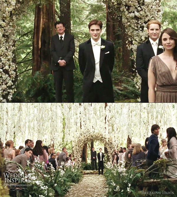 edward cullen and bella swan wedding twilight breaking dawn