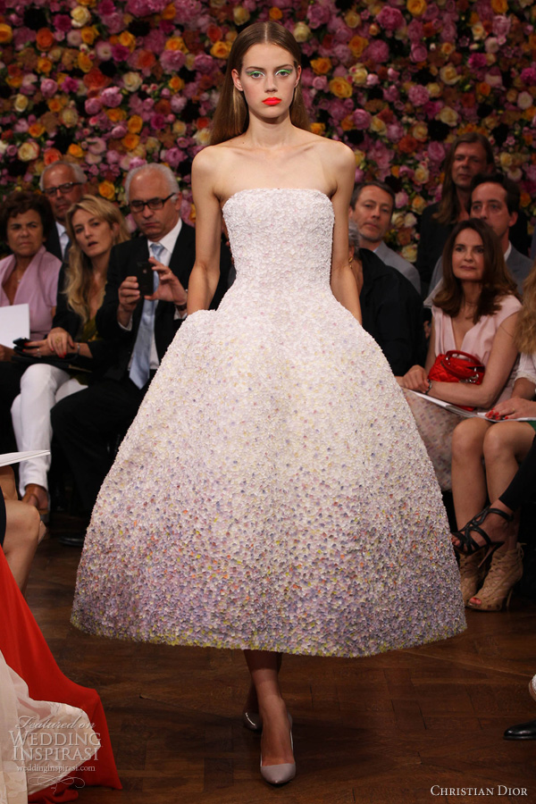 christian dior fall 2012 2013 couture strapless pointillist degrade dress