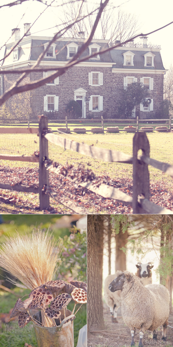 sareh nouri millie b photography woodland themed bridal shoot