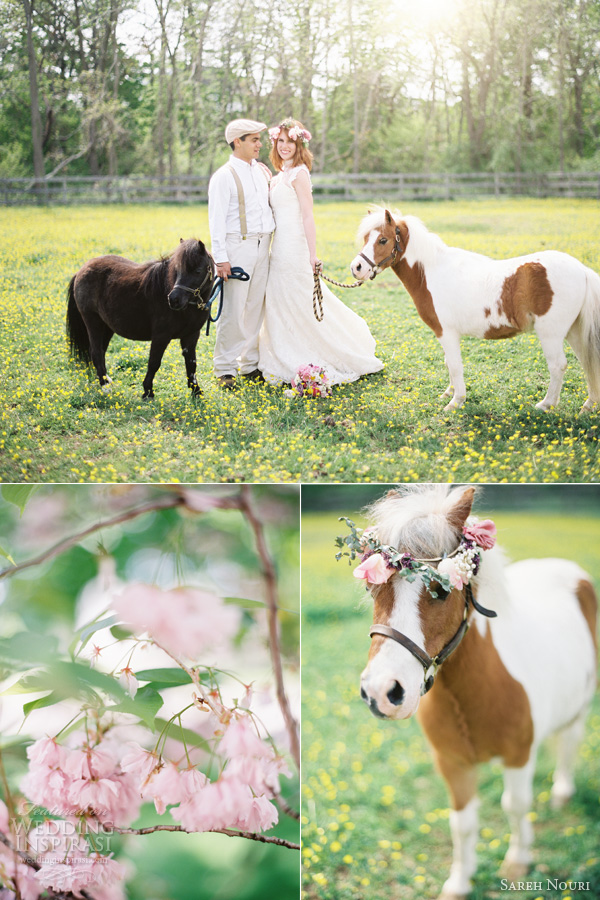 sareh nouri wedding dress anthropologie themed shoot kay english photography mini horse pony dog