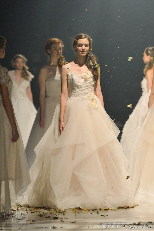 david fielden wedding dresses 2014 ball gown style 8101