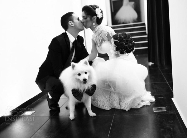 galia lahav wedding dresses 2014 real brides black and white couple photo shoot with dog