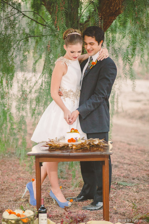 rustic fall themed retro bridal shoot featuring gage teacup wedding dress