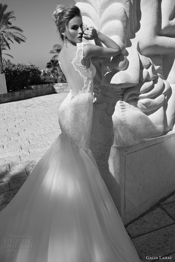 galia lahav bridal spring 2015 odette fit and flare wedding dress illusion back view