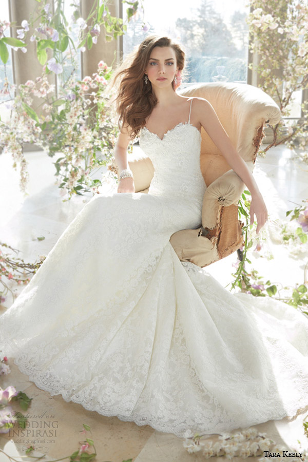 tara keely spring 2014 bridal lace wedding dress fit and flare style 2411