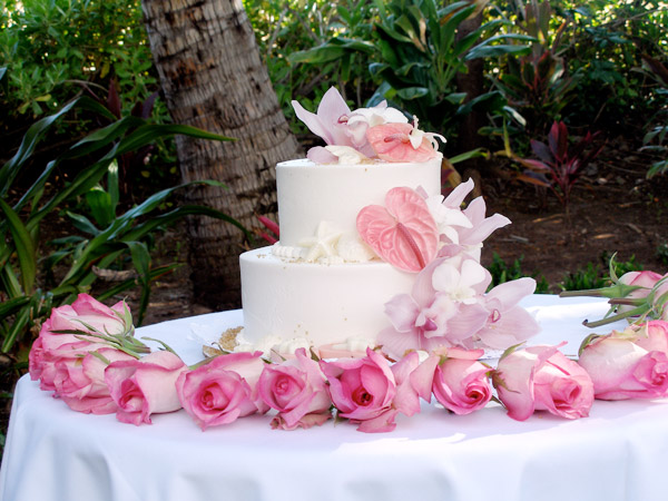 maui hawaii destination wedding island style cake