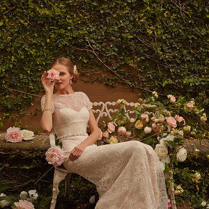 bhldn spring 2015 bridal bateau sheer sweetheart neckline short sheer lace sleeves v low cut back creme a line wedding dress