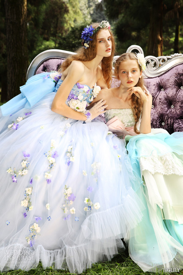 Featured image of post Cinderella Wedding Dress 2015