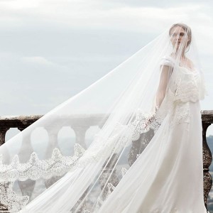 alberta ferretti bridal spring 2016 lucina wedding dress crop top straps overlay
