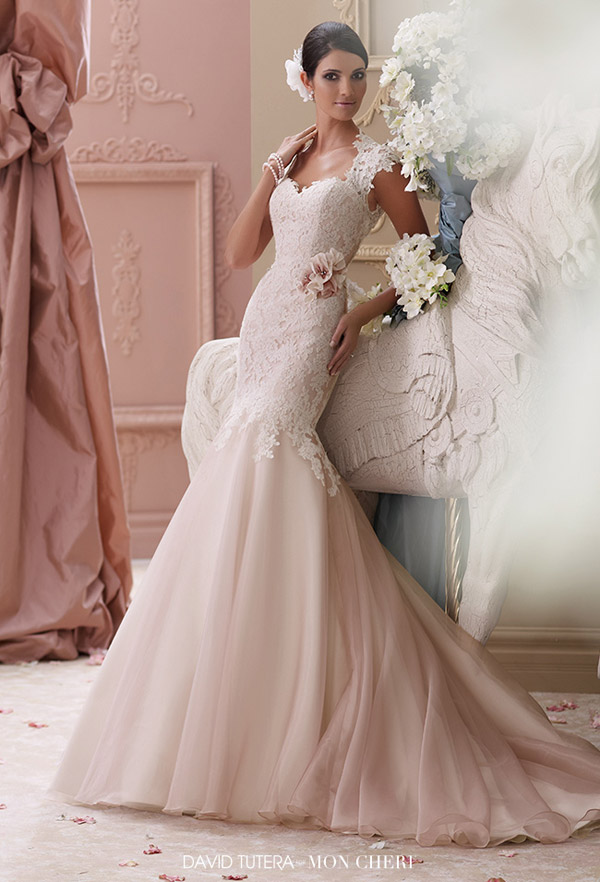 david tutera mon cheri spring 2015 style 115236 meadow corded lace applique trumpet wedding dress cap sleeves ivory tea rose color