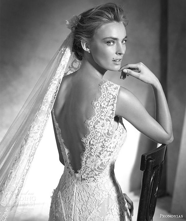 pronovias 2016 atelier haute couture ingrid sleeveless lace mermaid wedding dress v neckline back view close up