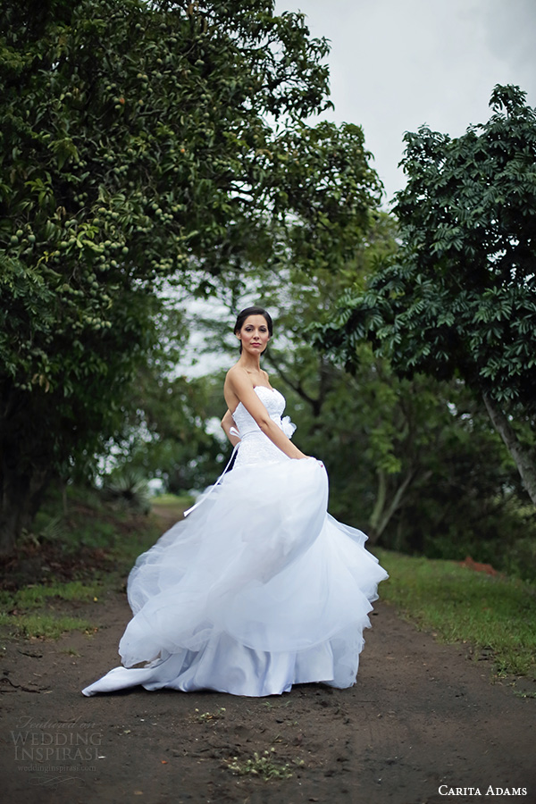 carita adams 2015 bridal strapless sweetheaert neckline embroidery lace bodice low hip a line wedding dress daniella