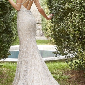 alvina valenta fall 2015 wedding dresses scoop neckline low open back ivory gold lace modified a line wedding dress shoulder jewelry av9557 back view