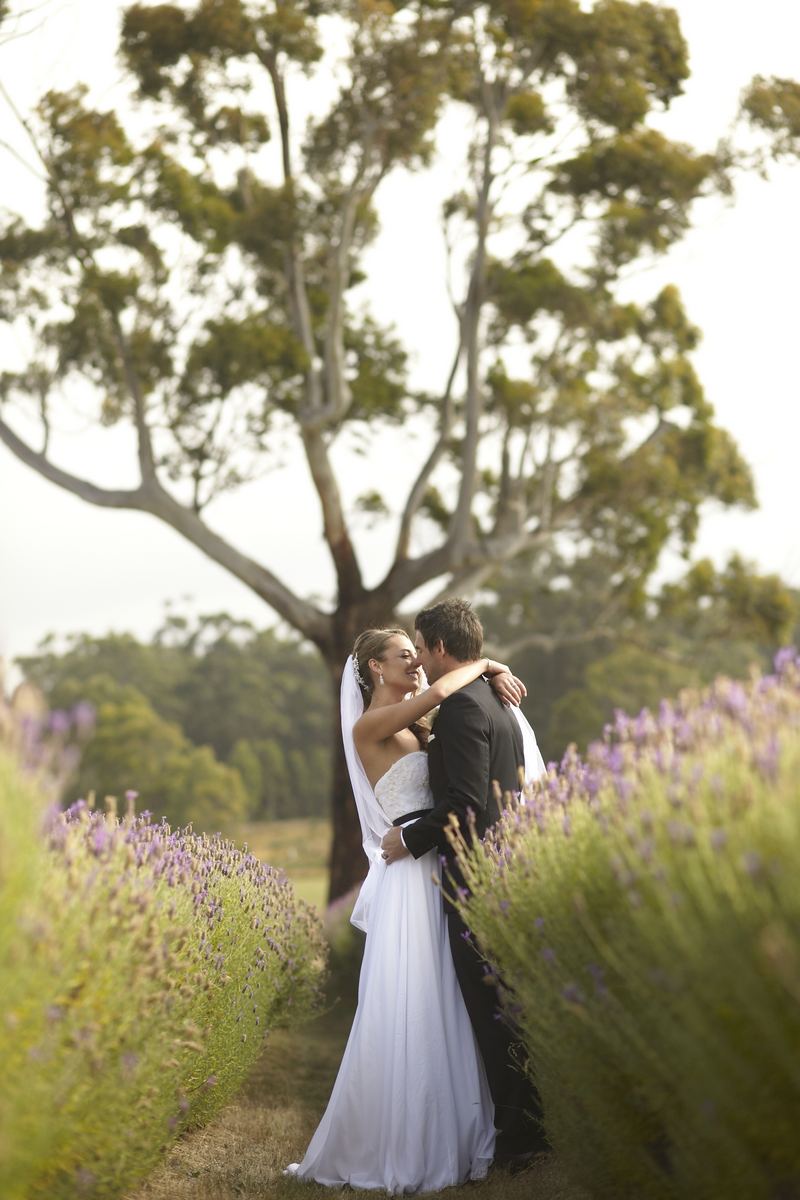 Real Wedding by Blumenthal Photography feat on Wedding Inspirasi   Chris & Lauren, Sault, Vic, Australia. Style   destination weddings, outdoor, elegant, romantic, lavender farm (33)