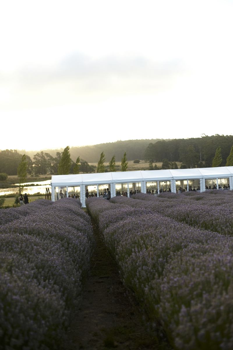 Real Wedding by Blumenthal Photography feat on Wedding Inspirasi   Chris & Lauren, Sault, Vic, Australia. Style   destination weddings, outdoor, elegant, romantic, lavender farm (63)