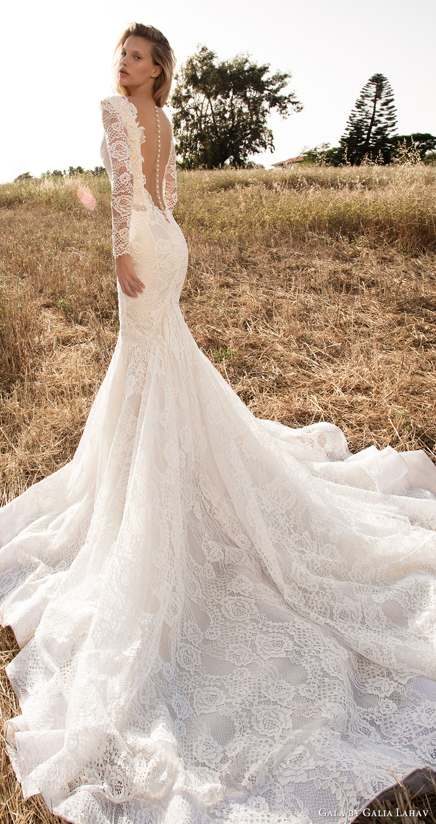 gala galia lahav spring 2017 illusion long sleeves deep vneck mermaid lace wedding dress (703) bv low back long  train