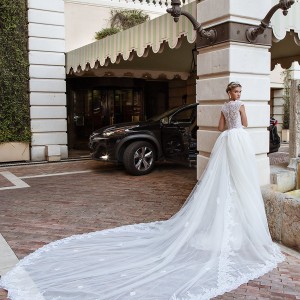 alessandra rinaudo 2017 bridal cap sleeves boat neckline lace embellished bodice romantic sheath wedding dress ball gown a  line train lace back long train (bibi) mv bv