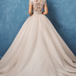 amelia sposa 2017 bridal lace short sleeves sheer bateau sweetheart neckline heavily embellished bodice romantic princess ball gown wedding dress lace back royal train (regina) bv
