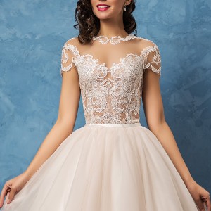 amelia sposa 2017 bridal lace short sleeves sheer bateau sweetheart neckline heavily embellished bodice romantic princess ball gown wedding dress lace back royal train (regina) zv