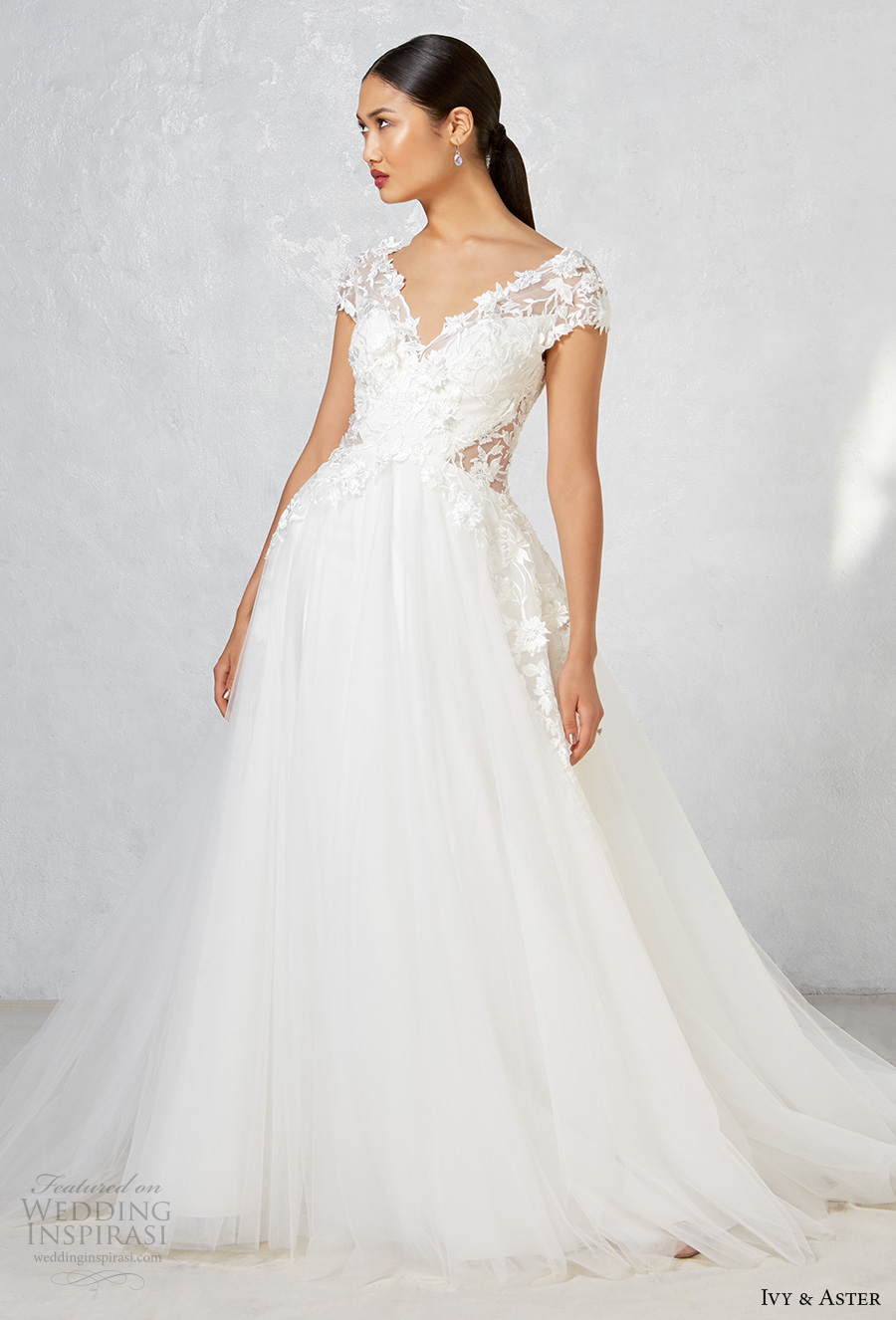 ivy aster fall 2017 bridal cap sleeves v neck heavily embroidered bodice tulle skirt romanitc a  line wedding dress open v back chapel train (ayla) mv