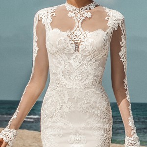 galia lahav gala 2017 bridal long sleeves illusion high jewel sweetheart neckline heavily embellished bodic elegant lace fit and flare wedding dress open low back sweep train (801) zv