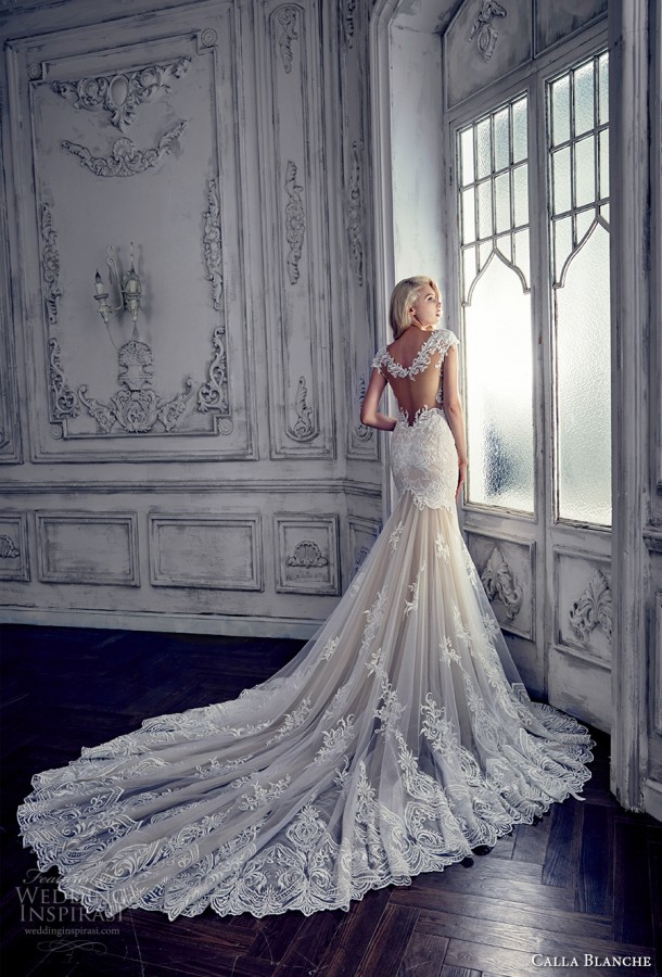 Calla Blanche Spring 2017 Wedding Dresses | Wedding Inspirasi
