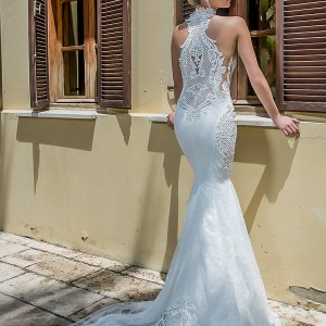 michal medina 2017 bridal sleeveless halter neck keyhole heavily embellished bodice elegant fit and flare wedding dress covered lace back chapel train (renee) bv