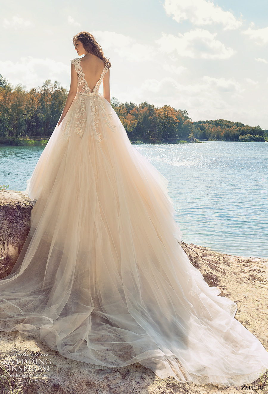 papilio 2017 bridal cap sleeves v neck heavily embellished bodice tulle skirt romantic blush color a line wedding dress open low v back royal train (hornbill) bv papilio 2017 bridal cap sleeves v neck heavily embellished bodice tulle skirt romantic blush color a line wedding dress open low v back royal train (hornbill) bv