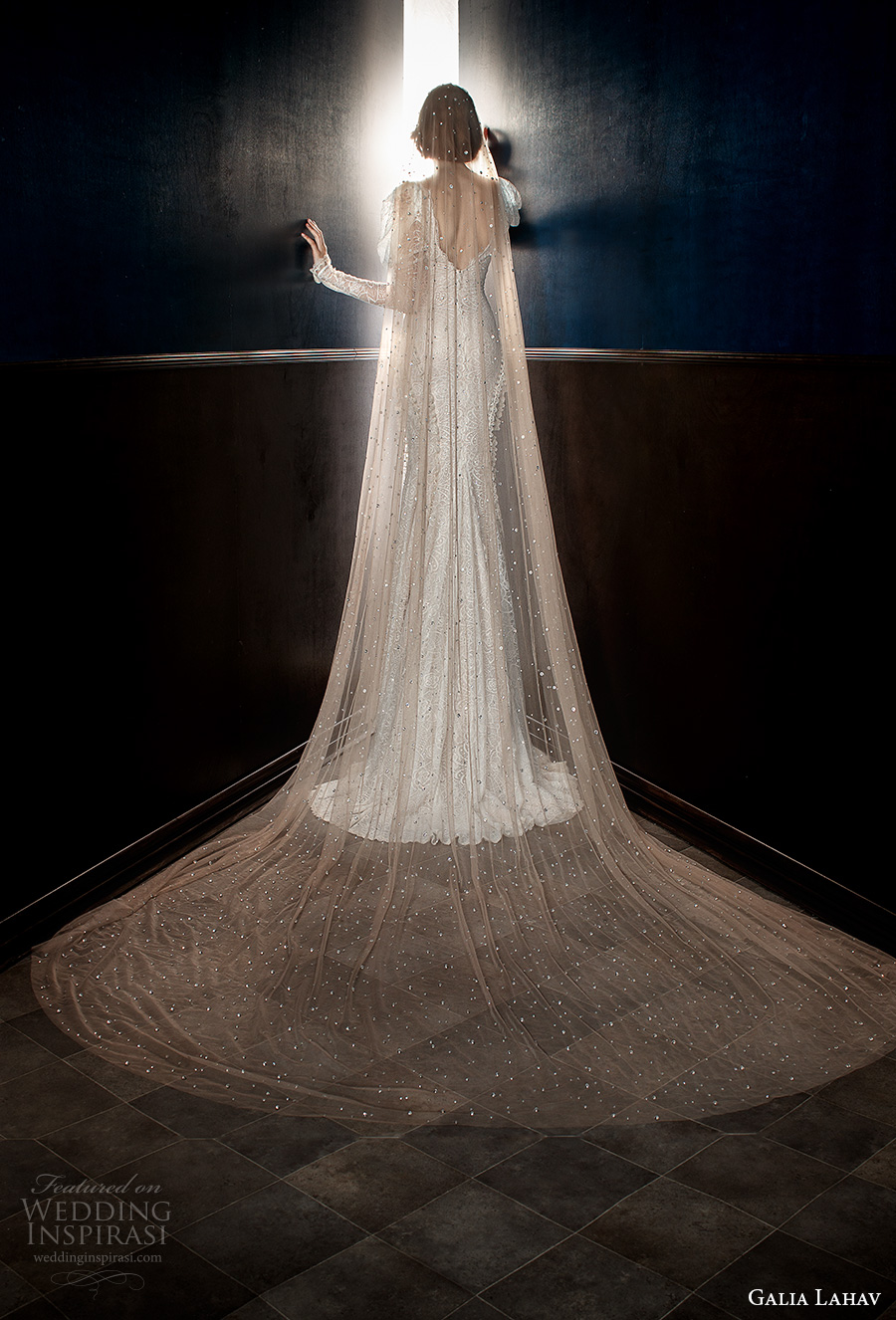 galia lahav spring 2018 long cathedral veil (stardust) mv