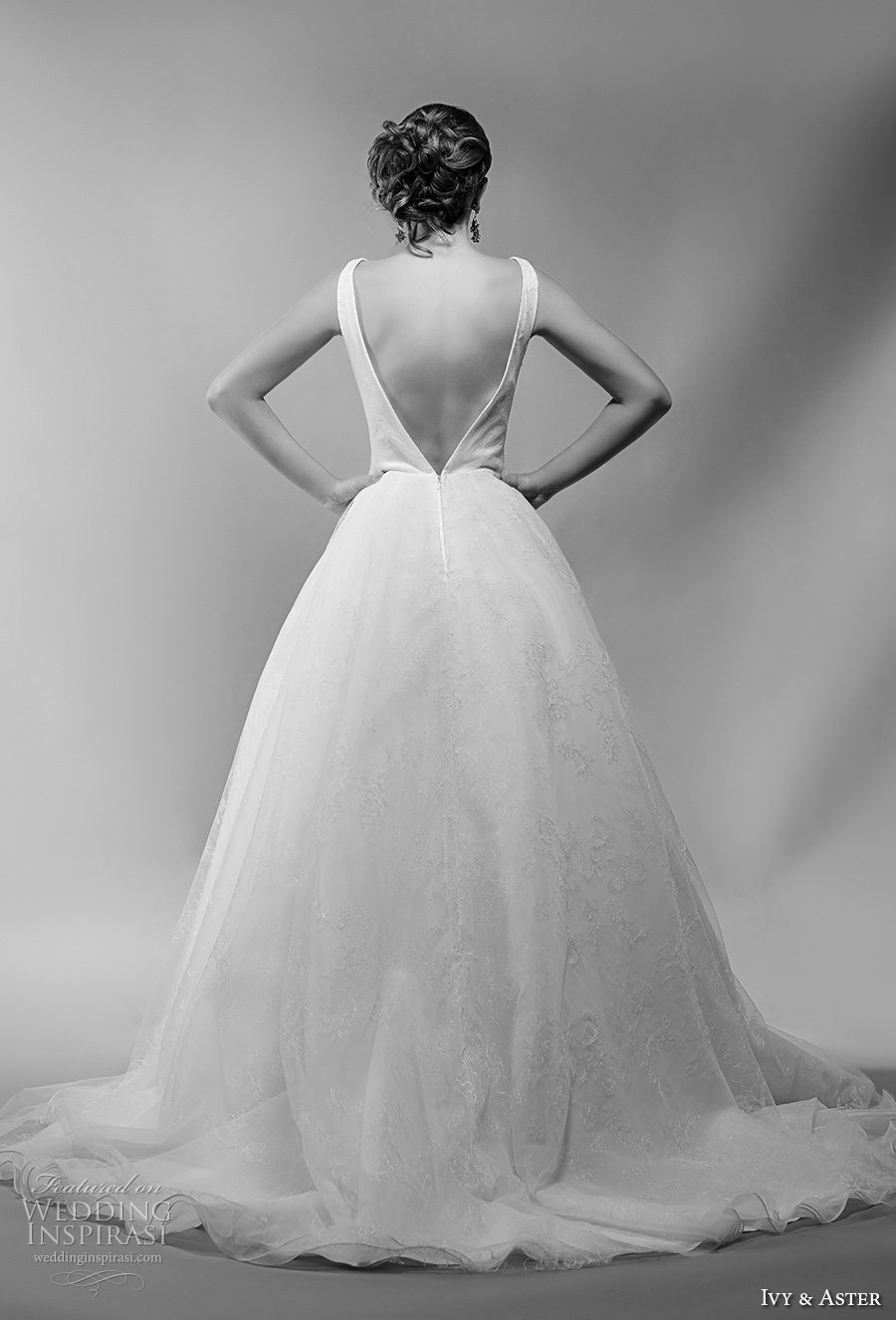 ivy and aster spring 2018 bridal sleeveless deep v neck lightly embellished bodice princess ball gown wedding dress open v back chapel train (martine) bv