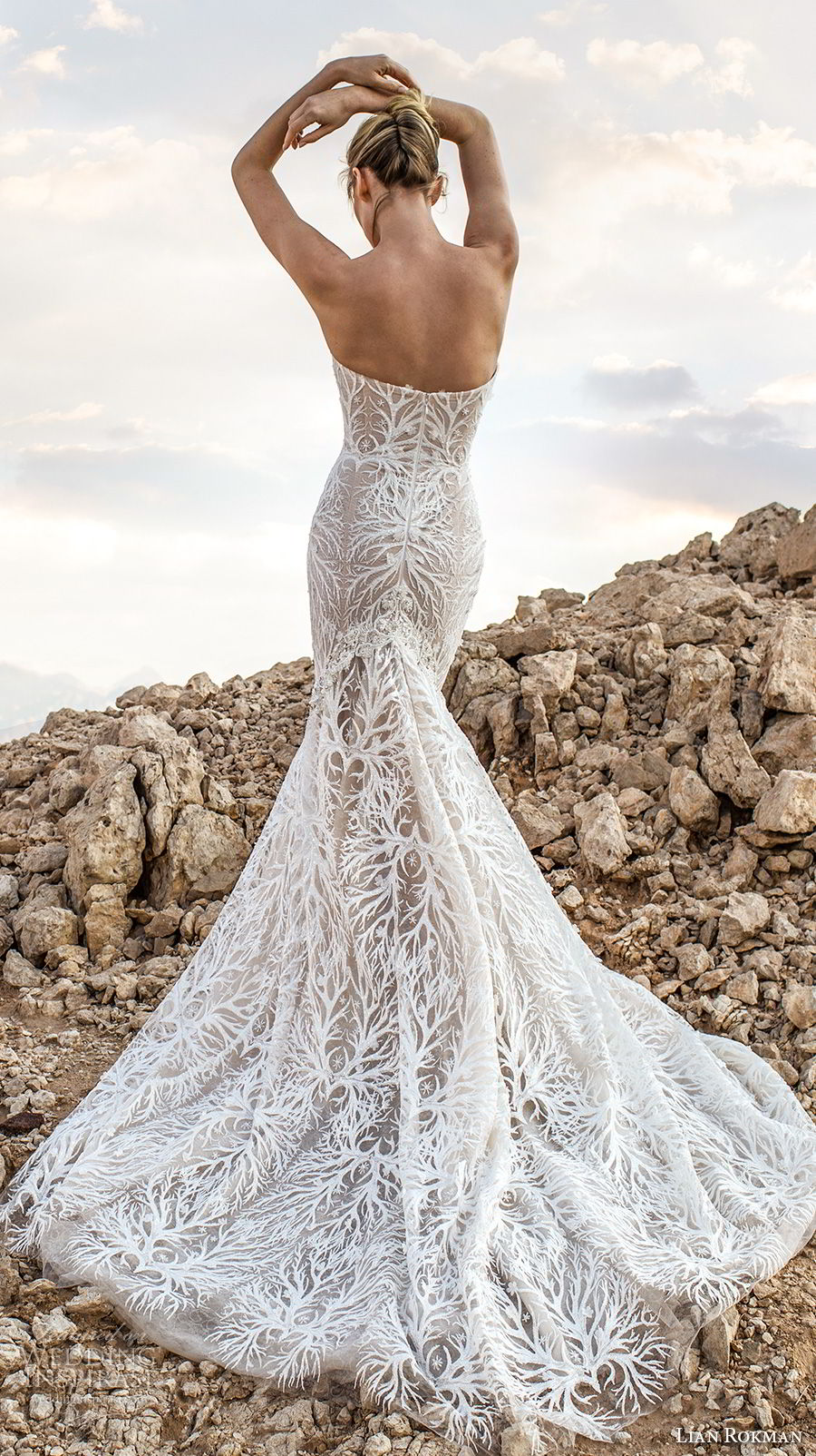 lian rokman 2017 bridal strapless sweetheart neckline full embellishment elegant trumpet wedding dress chapel train (diamond) bv lian rokman 2017 bridal strapless sweetheart neckline full embellishment elegant trumpet wedding dress chapel train (diamond) bv