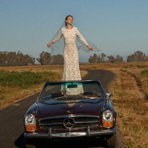 Bhldn medallion gown outlet