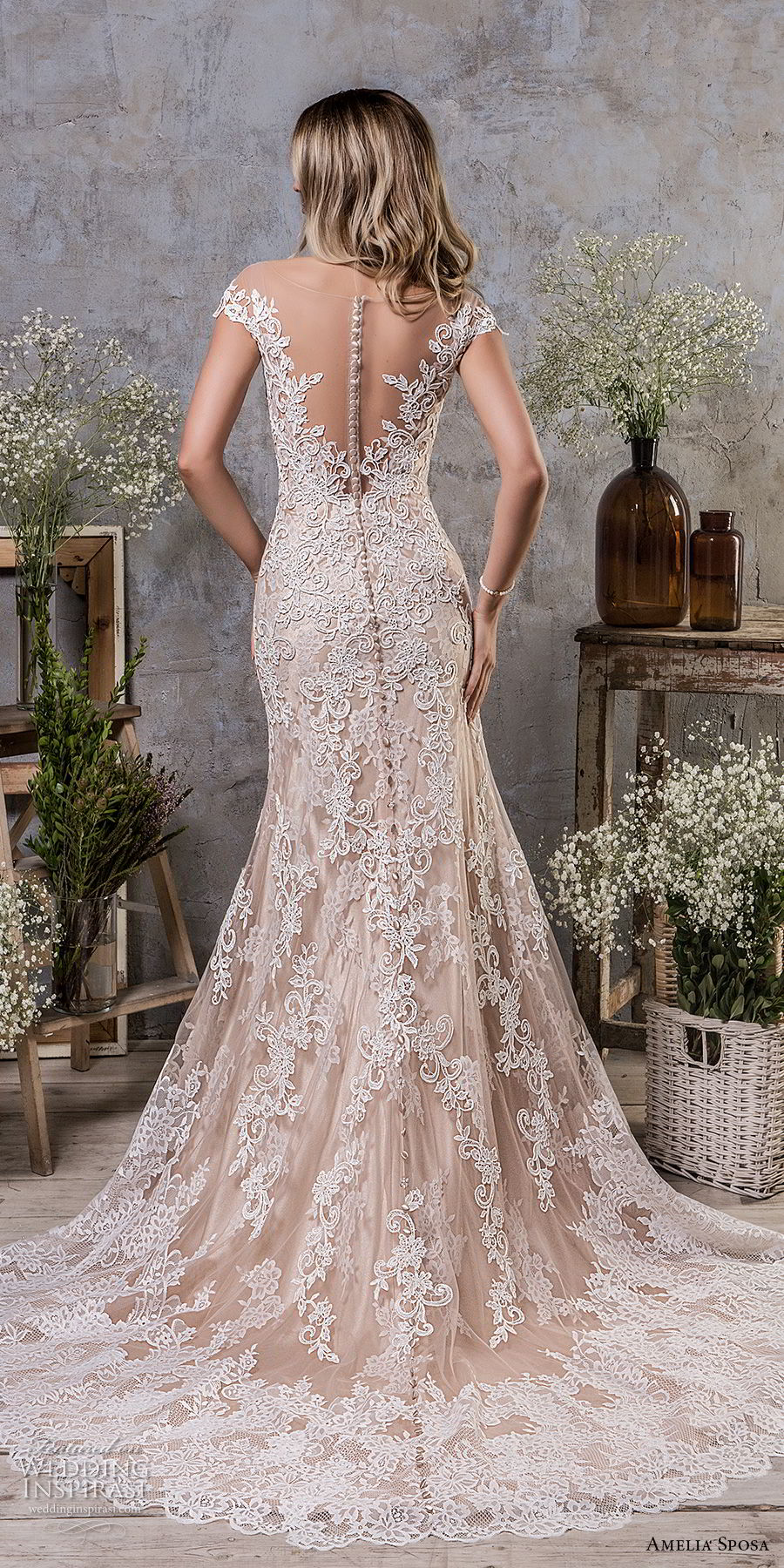 amelia sposa fall 2018 bridal cap sleeves illusion bateau sweetheart neckline full embellishment champagne color a  line wedding dress sheer button back medium train (5) bv