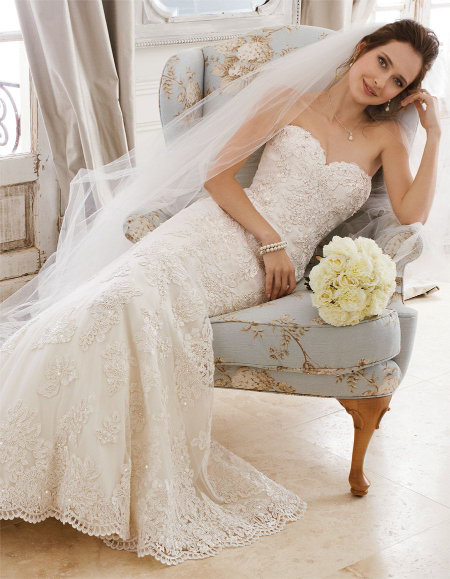 sophia tolli spring 2018 mon cheri bridals strapless sweetheart beaded lace fit flare wedding dress (y11870 alexia) mv corset back court train romantic