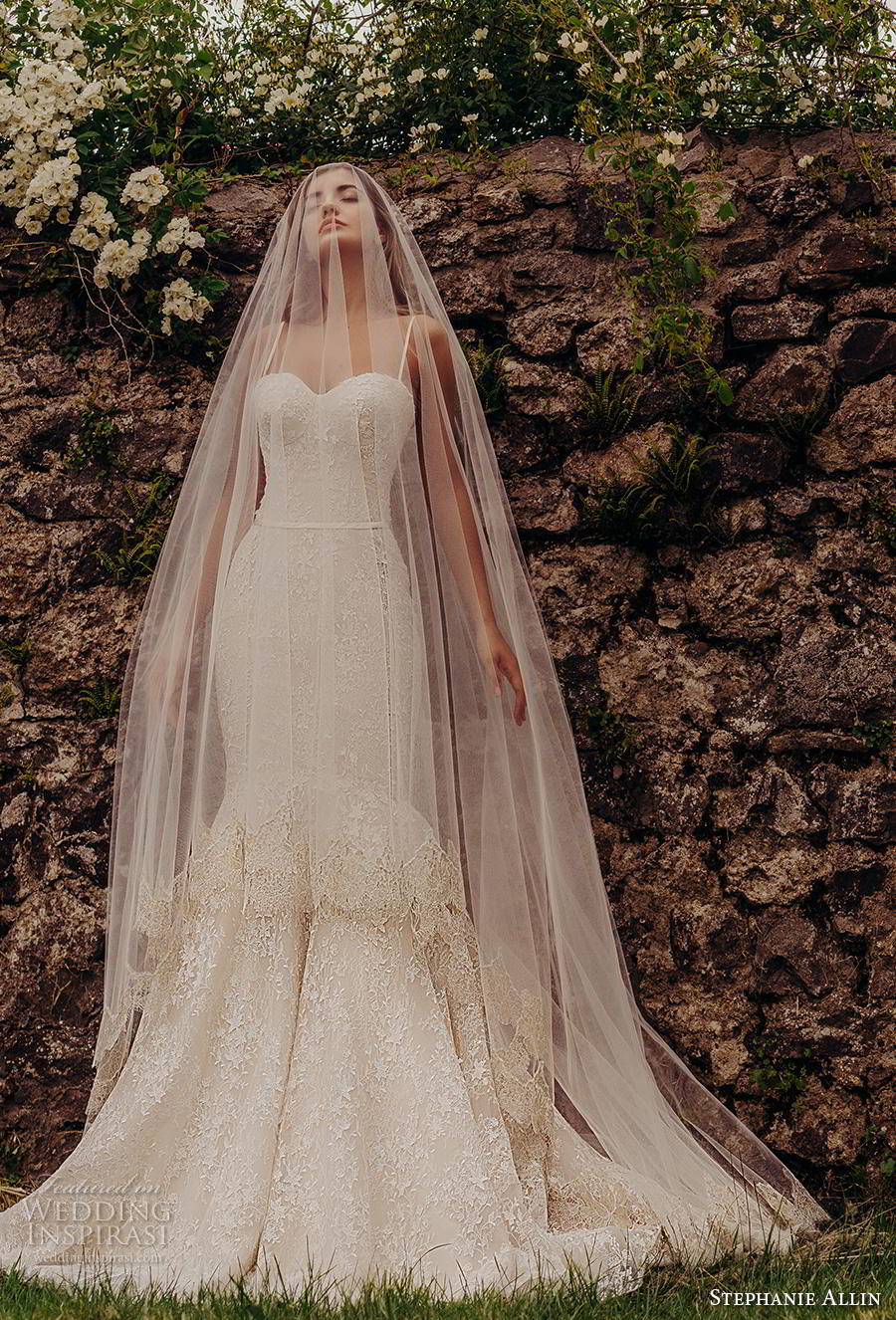 stephanie allin 2019 bridal sleeveless spaghetti strap sweetheart neckline full embellishment bustier sexy elegant blush mermaid wedding dress mid back chapel train (7) mv stephanie allin 2019 bridal sleeveless spaghetti strap sweetheart neckline full embellishment bustier sexy elegant blush mermaid wedding dress mid back chapel train (7) mv