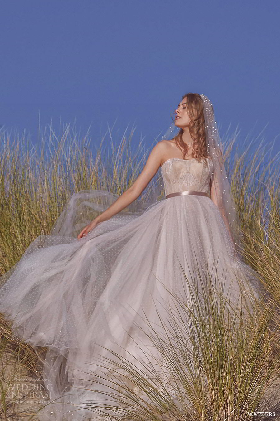 watters spring 2019 bridal strapless semi sweetheart embellished bodice a line ball gown wedding dress (7) mv sweep train elegant romantic watters spring 2019 bridal strapless semi sweetheart embellished bodice a line ball gown wedding dress (7) mv sweep train elegant romantic
