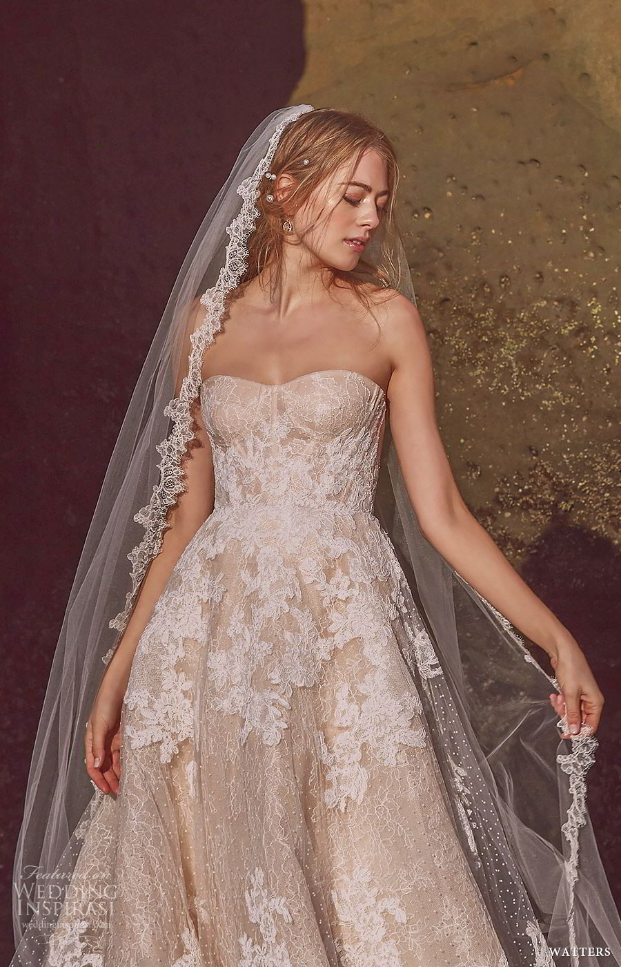 watters spring 2019 bridal strapless sweetheart heavily embellished lace ball gown wedding dress (1) zv blush color chapel train