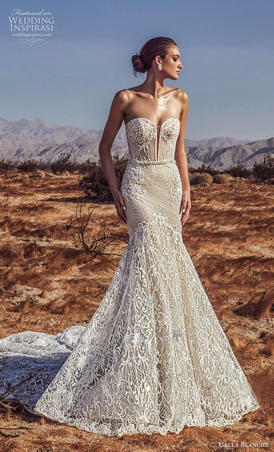 calla blanche spring 2019 bridal strapless sweetheart neckline full embellishment elegant trumpet mermaid wedding dress mid back chapel train (12) mv