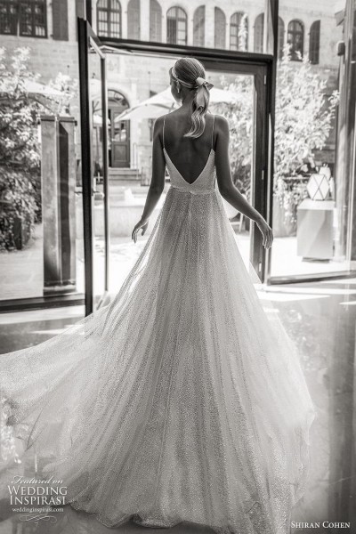 Shiran Cohen 2019 Wedding Dresses — “The Noble White” Bridal Collection ...