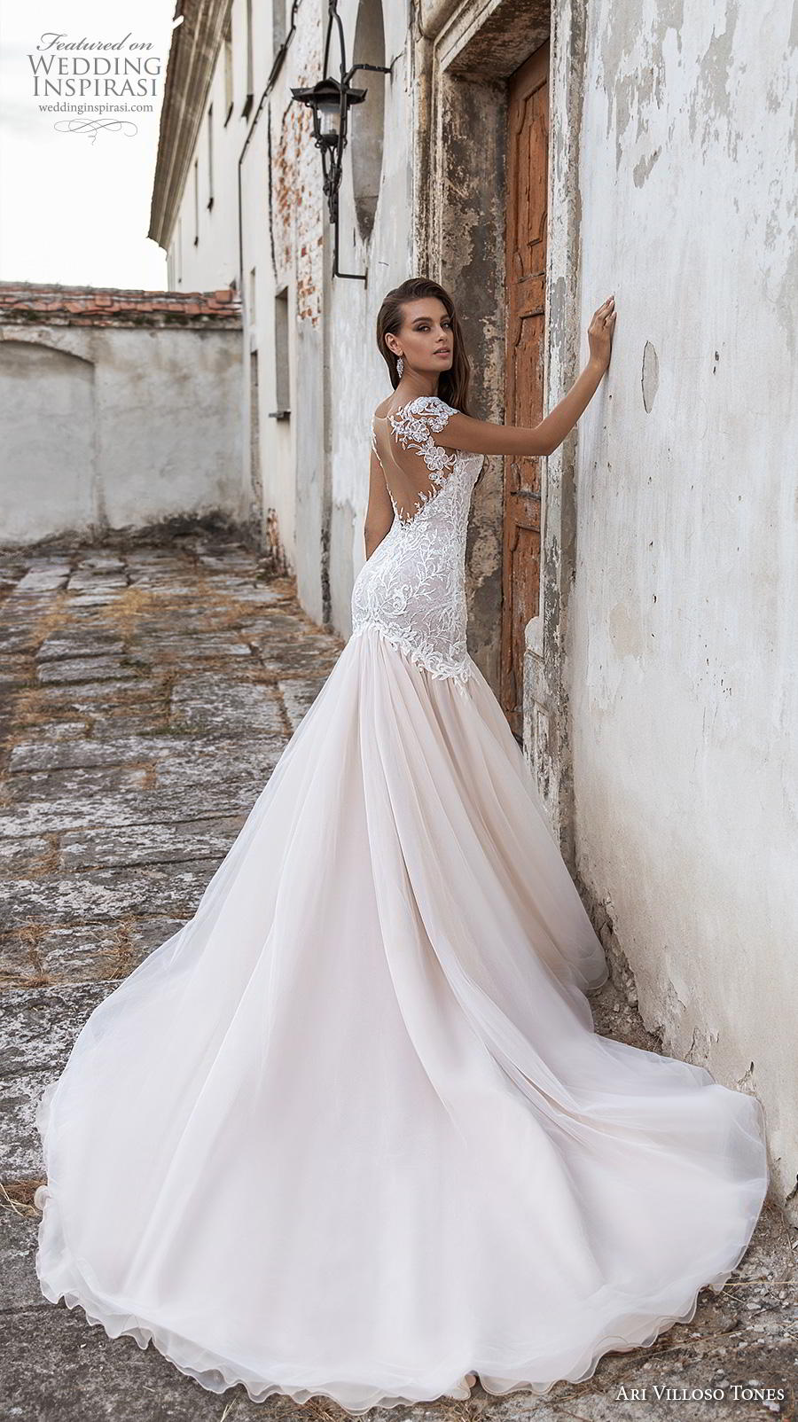 ari villoso tones 2020 bridal cap sleeves v neck heavily embellished bodice elegant glamorous mermaid wedding dress backless low back chapel train (6) bv