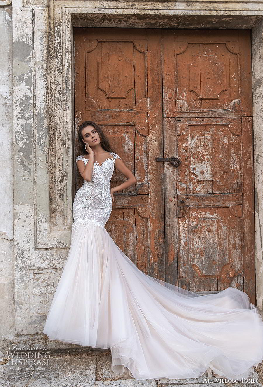 ari villoso tones 2020 bridal cap sleeves v neck heavily embellished bodice elegant glamorous mermaid wedding dress backless low back chapel train (6) mv