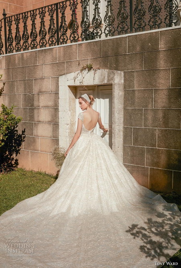 Tony Ward La Mariée Fall 2020 Wedding Dresses — ‘Felicity’ Bridal ...