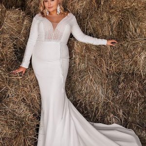 ariamo 2021 plus bridal long sleeves plunging v neckline clean minimalist mermaid sheath wedding dress chapel train (4) mv