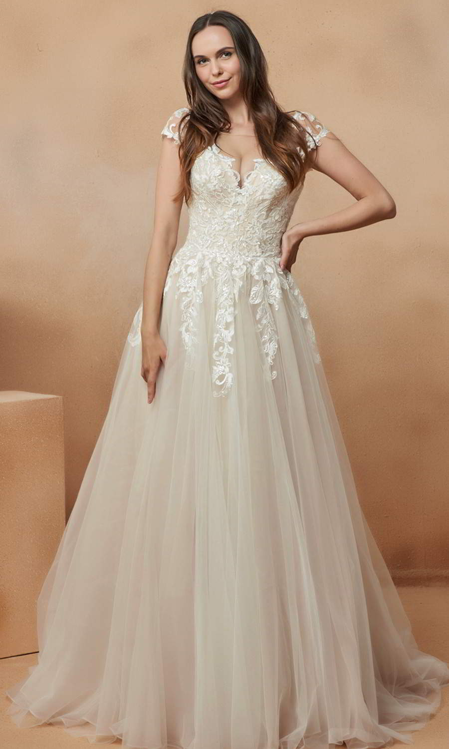 afarose 2021 bridal cap sleeves v neckline heavily embellished bodice clean skirt a line ball gown wedding dress chapel train (adela) mv