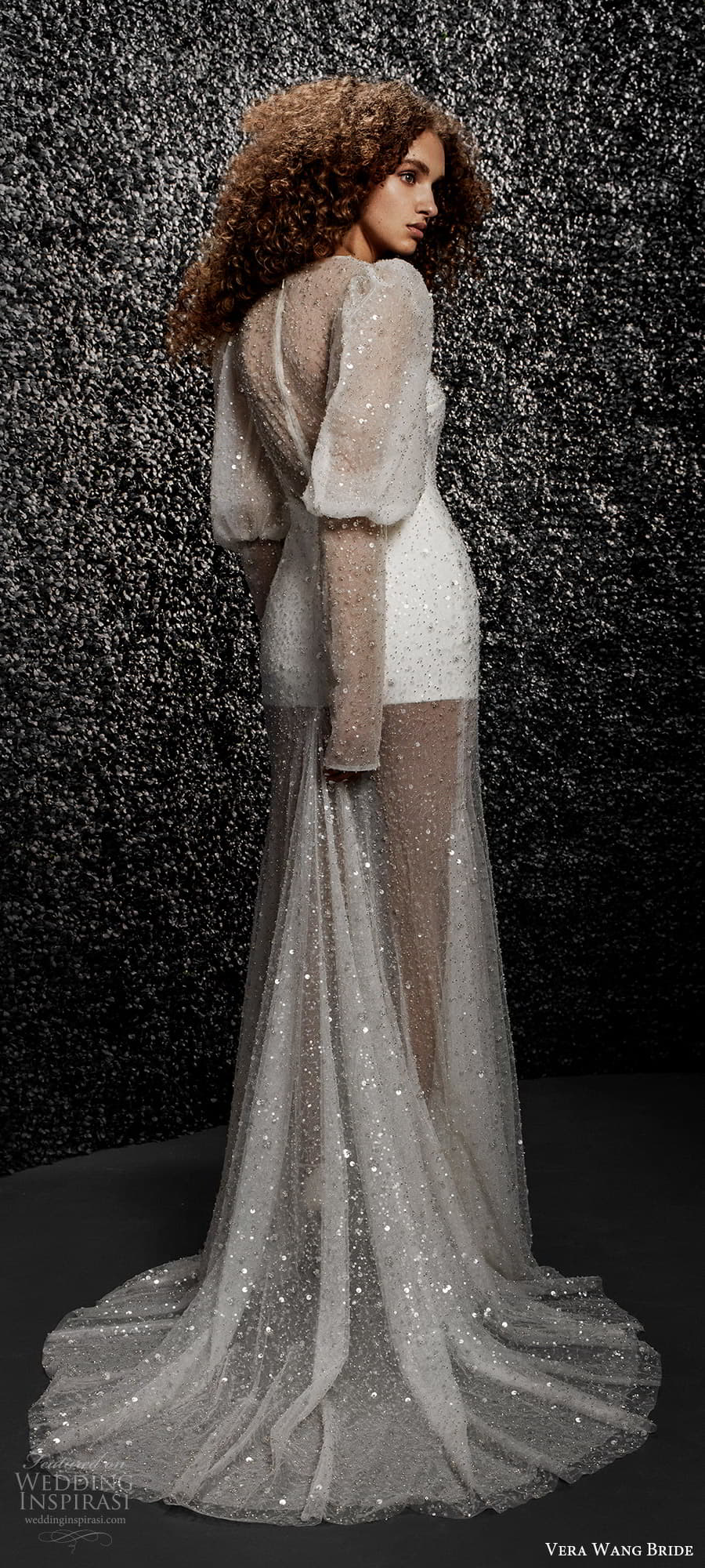 vera wang bride pronovias fall 2021 bridal long puff sleeve jewel neckline heavily embellished column wedding dress chapel train (31) bv vera wang bride pronovias fall 2021 bridal long puff sleeve jewel neckline heavily embellished column wedding dress chapel train (31) bv