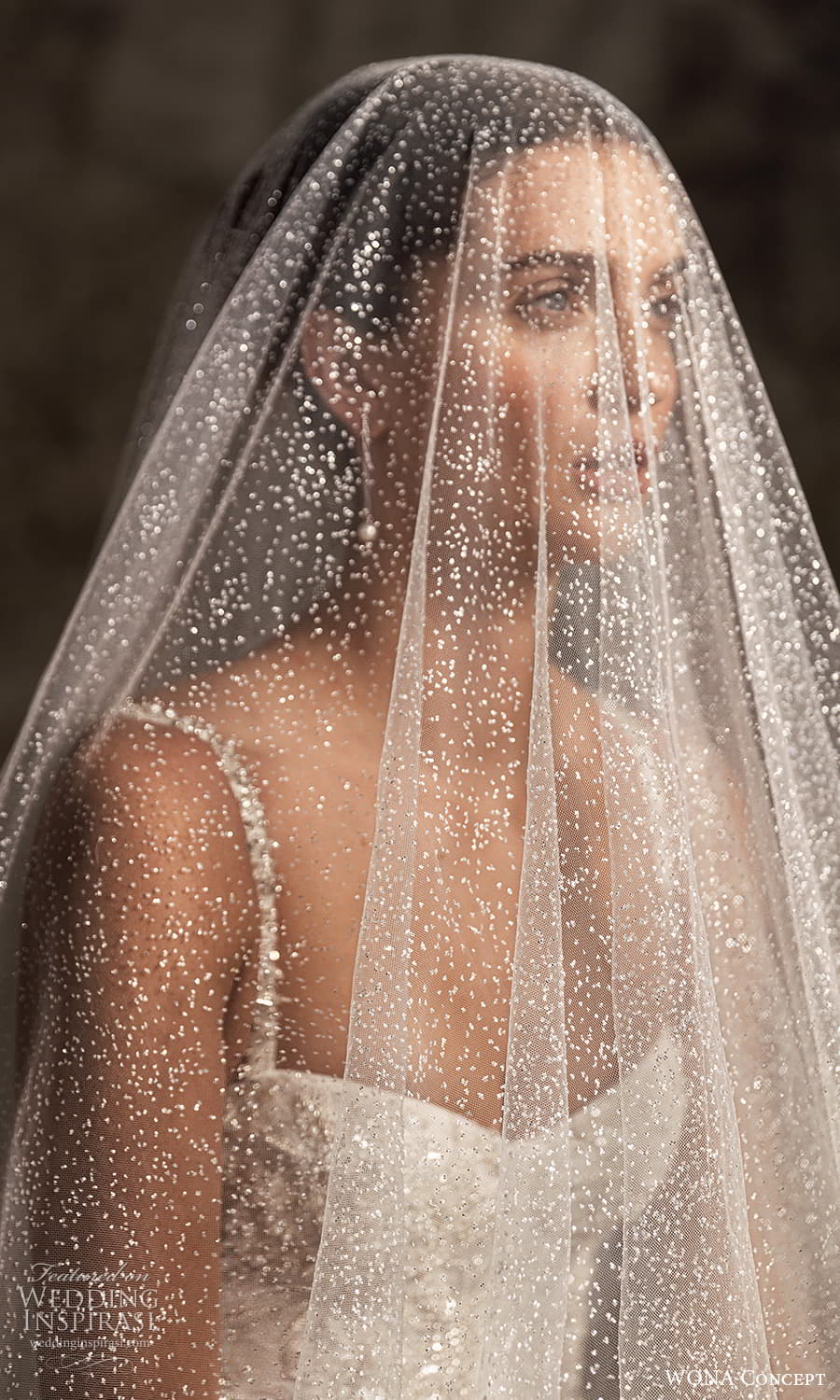 wona concept 2023 bridal long puff sleeve high neck top sleeveless fully embellisehd semi sweetheart neckline a line ball gown wedding dress chapel train veil (11) zv wona concept 2023 bridal long puff sleeve high neck top sleeveless fully embellisehd semi sweetheart neckline a line ball gown wedding dress chapel train veil (11) zv